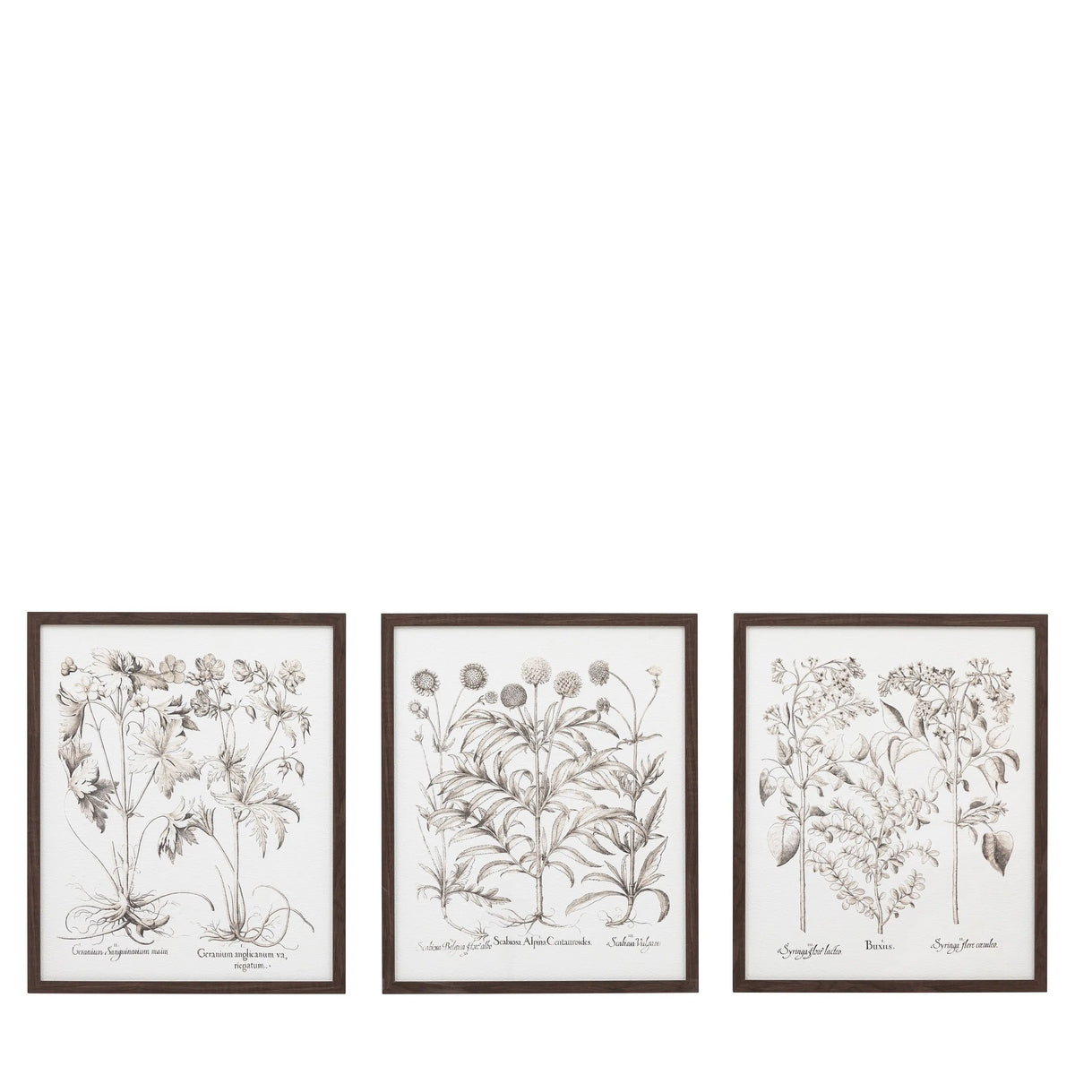 Evergreen Framed Art Set of 3.