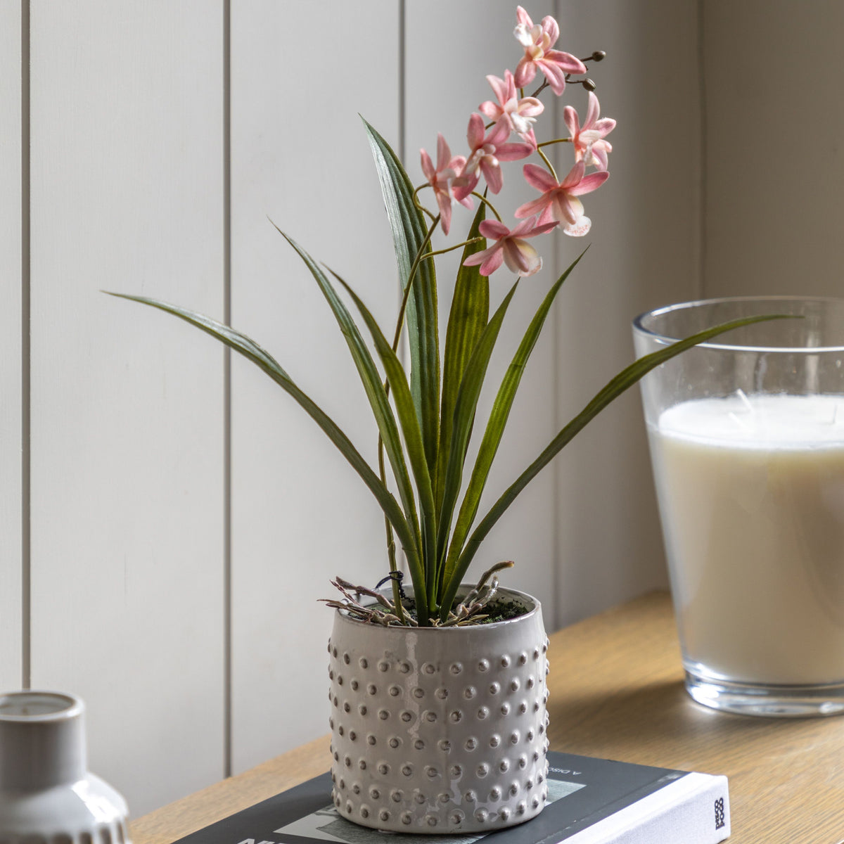 Orchid Pink in White Ceramic Dot Pot
