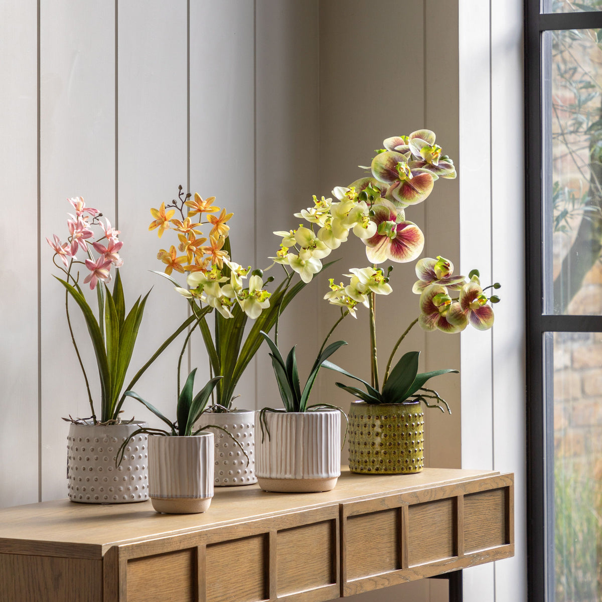 Orchid Pink in White Ceramic Dot Pot