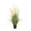 Potted Grass with Cattail Seed Heads Small