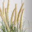 Potted Grass with Cattail Seed Heads Small