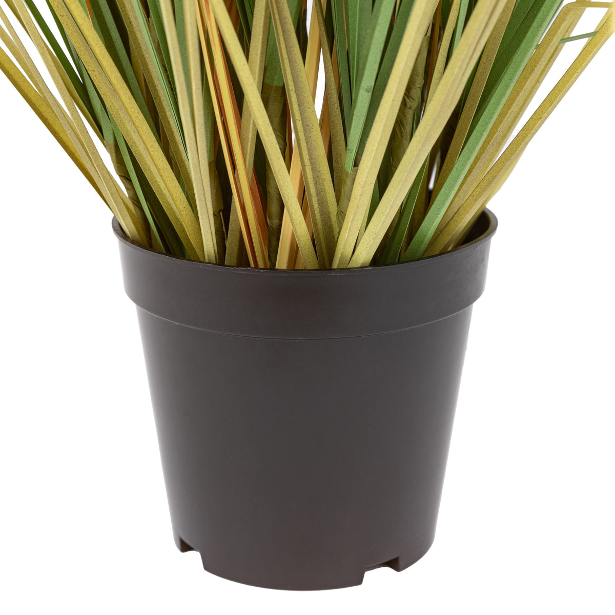 Potted Grass with Cattail Seed Heads 5pk Medium.