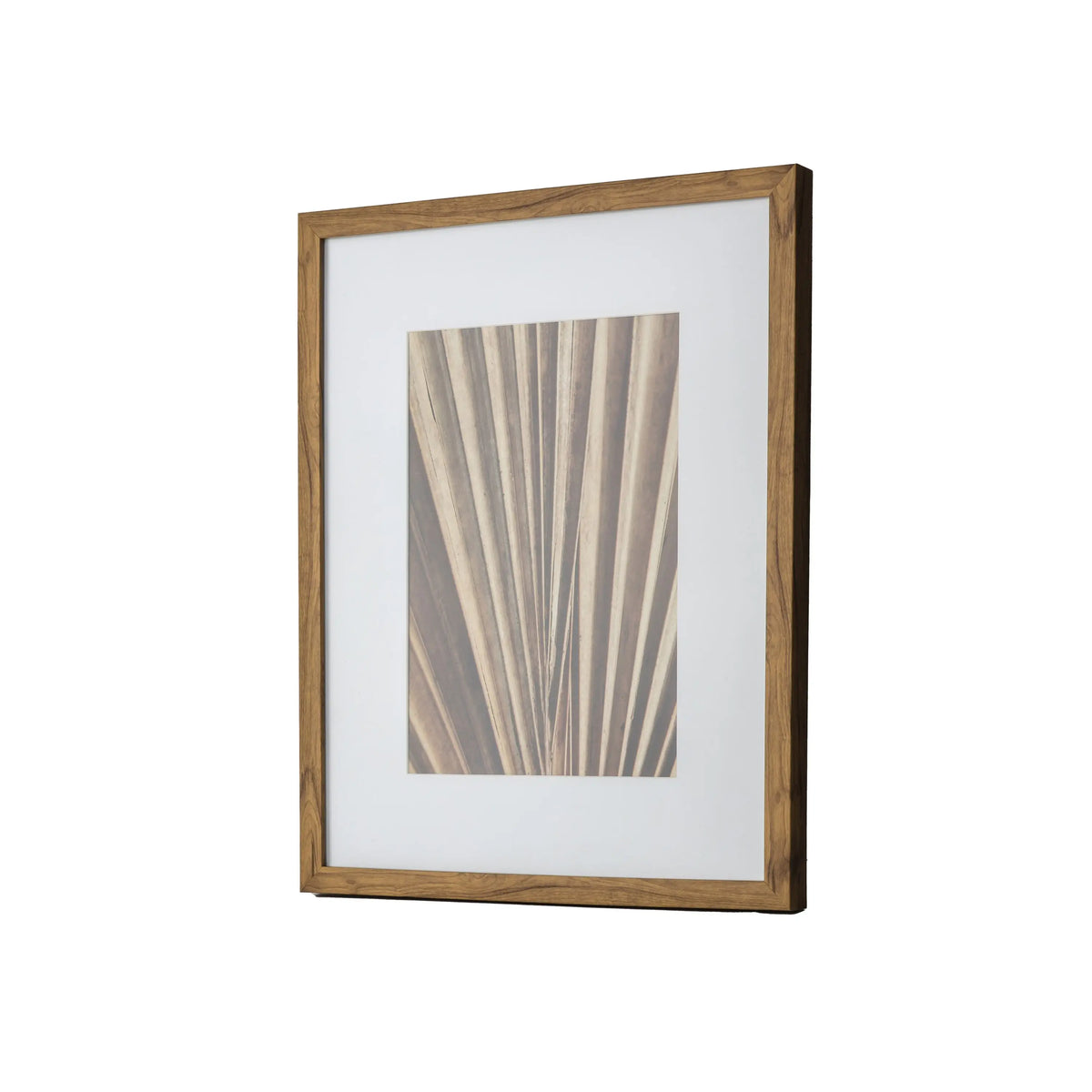 Sabal Framed Art