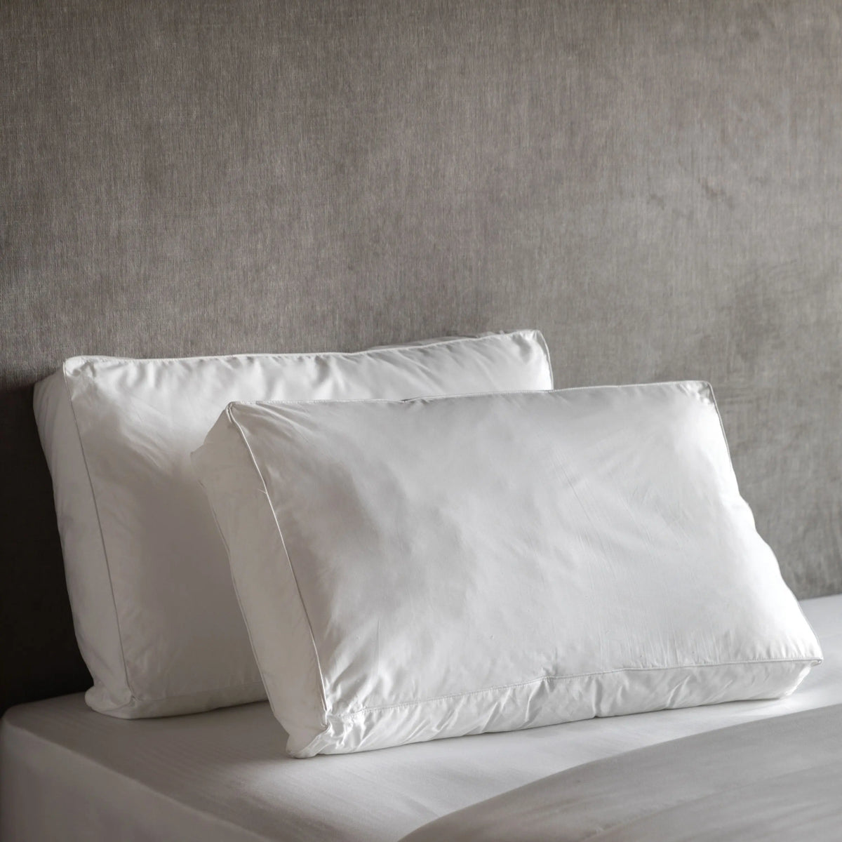 Simply Sleep Box Edge Pillow Pair