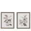 Natures Rhythm Framed Art Set of 2