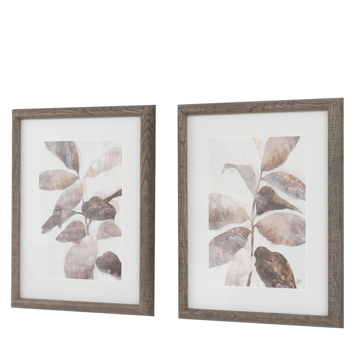 Natures Rhythm Framed Art Set of 2