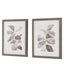 Natures Rhythm Framed Art Set of 2