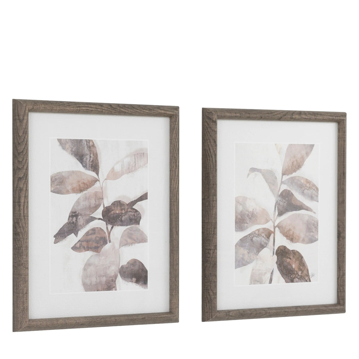 Natures Rhythm Framed Art Set of 2