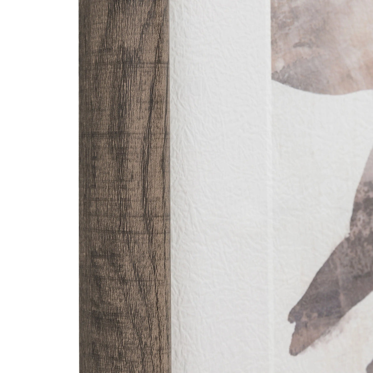 Natures Rhythm Framed Art Set of 2