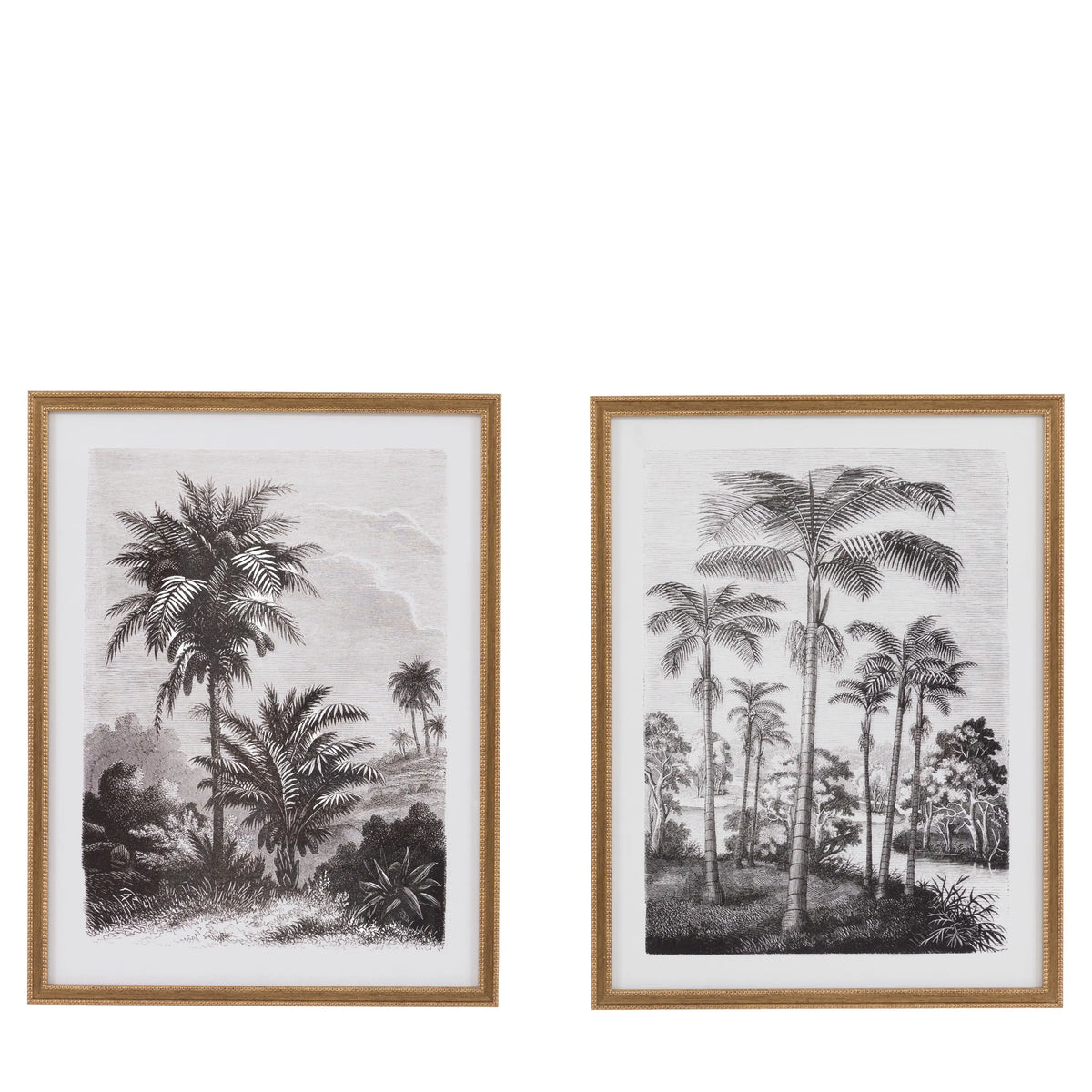 Colonial Sketches Framed Art Set of 2