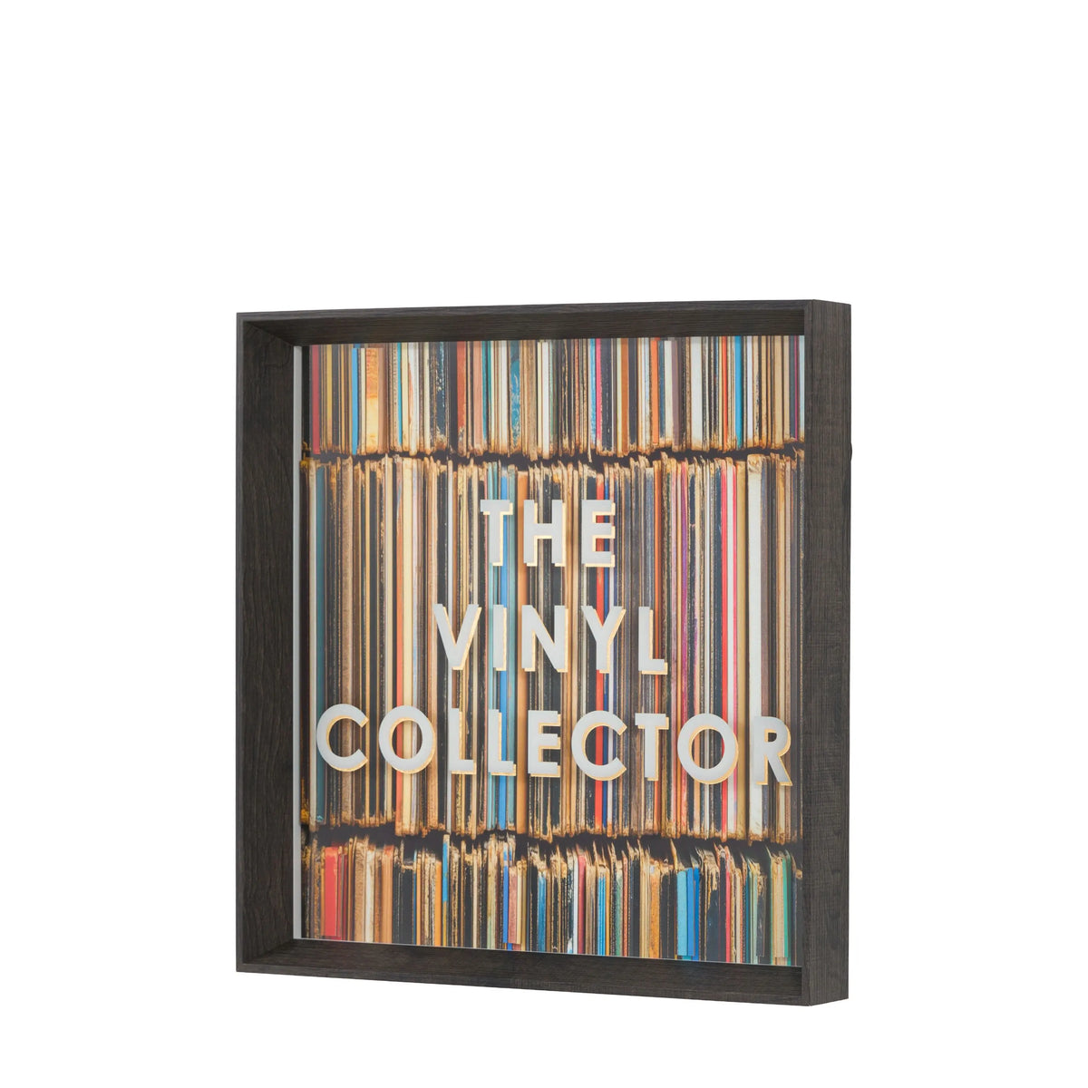 The Vinyl Collector Framed Art