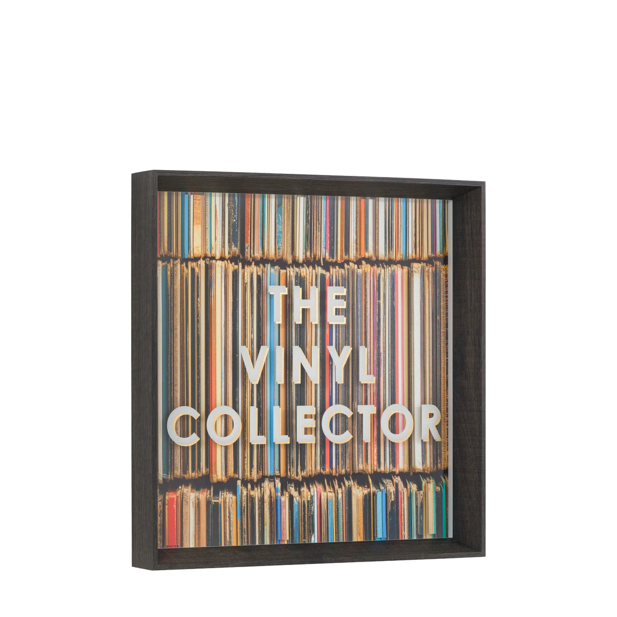 The Vinyl Collector Framed Art