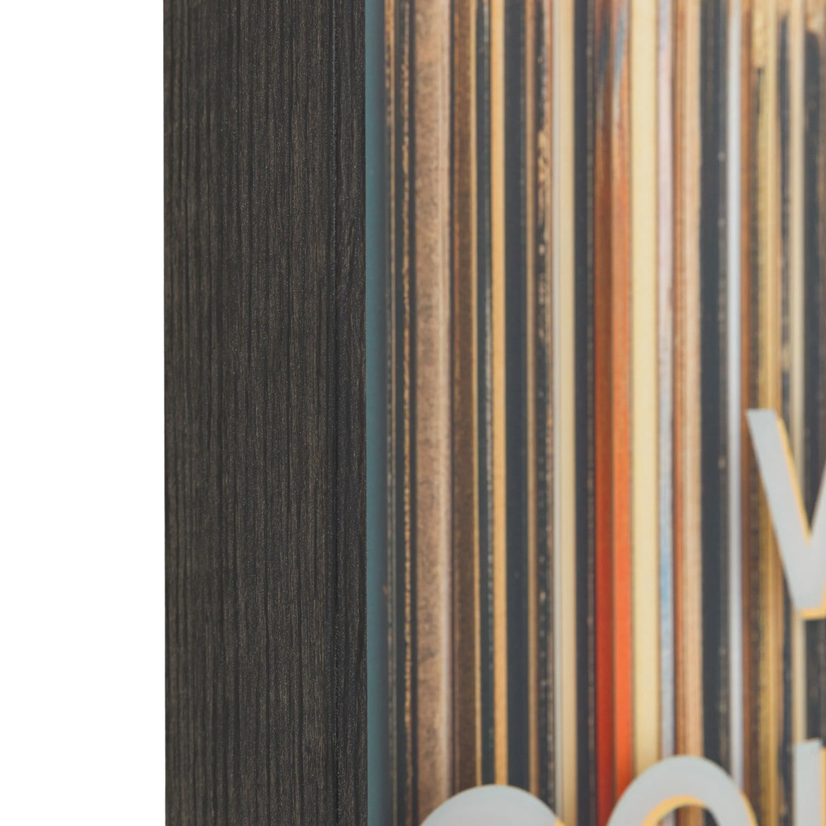 The Vinyl Collector Framed Art