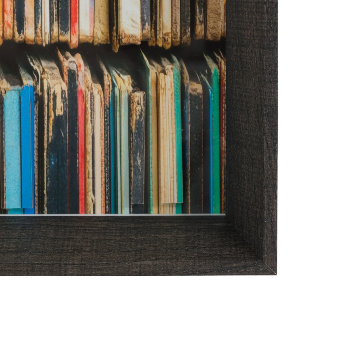 The Vinyl Collector Framed Art