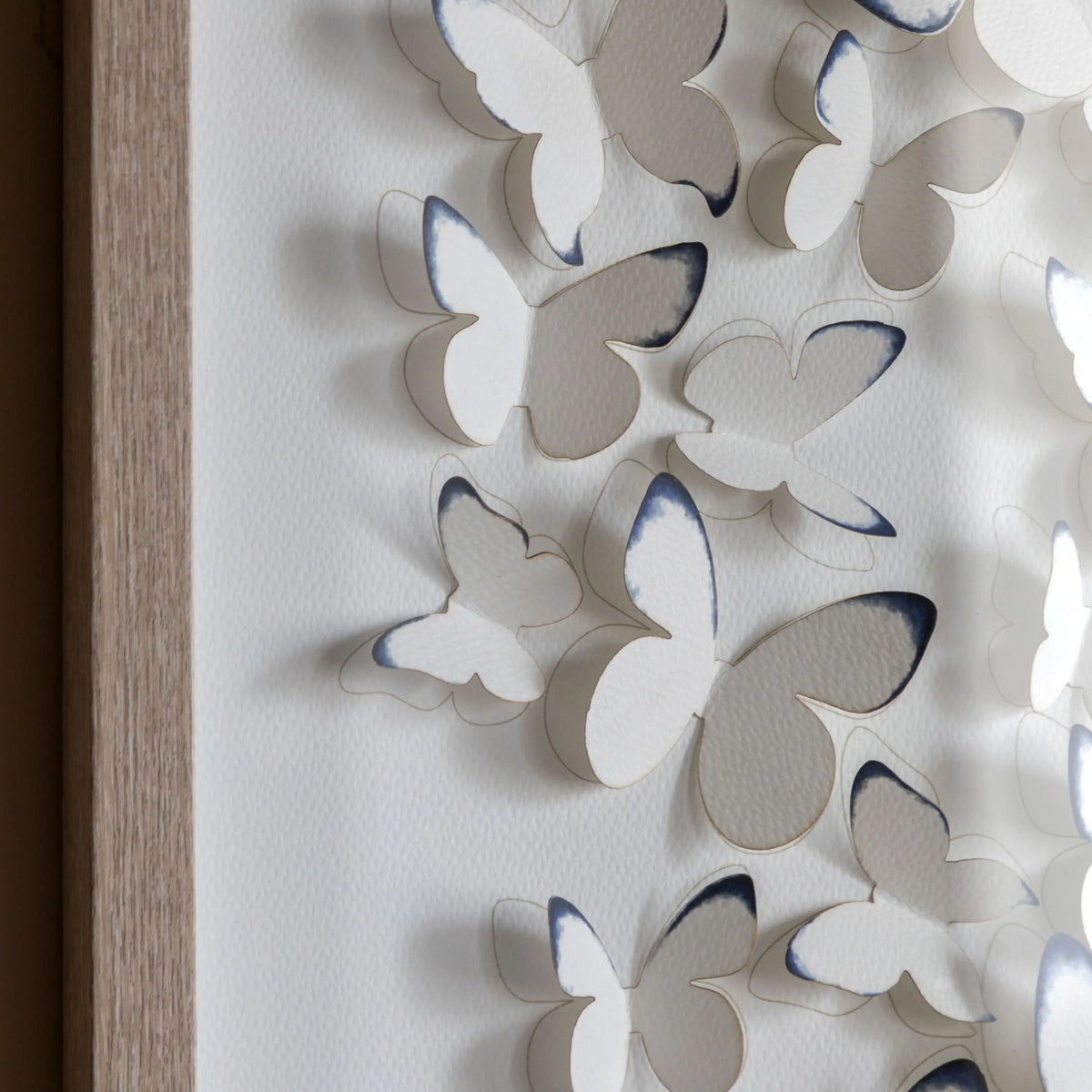 Unfurling Wings Framed Art