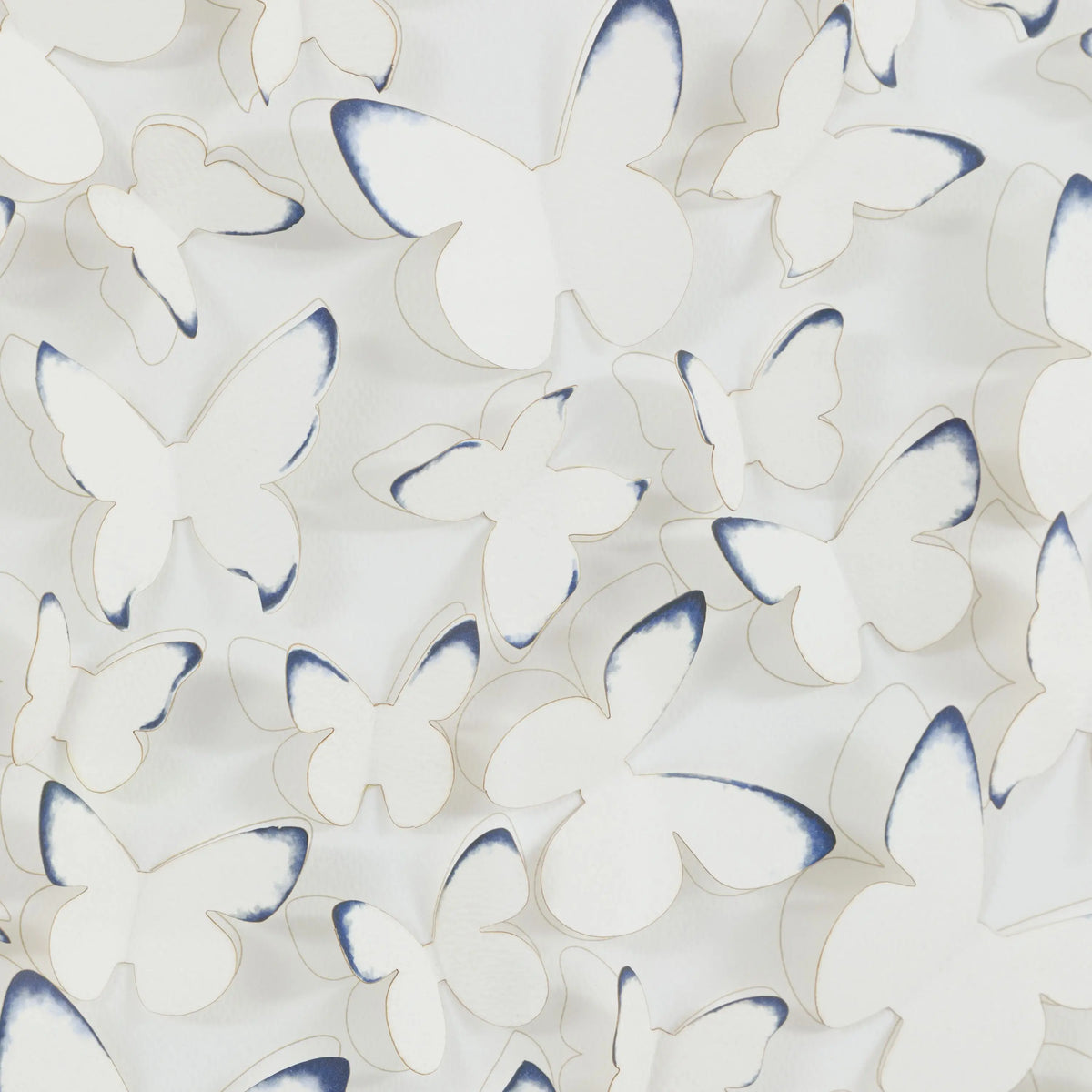 Unfurling Wings Framed Art