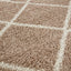 Moroccan Beige Shaggy Rug | 520
