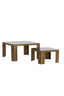 Coffee table S/2 50x50x30+75x75x40 cm OXE ant. br+smoked gl.