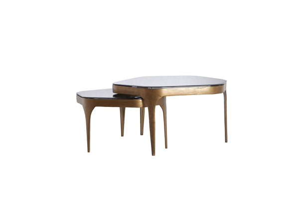 Coffee table S/2 max 77x70x42 cm AVI glass smoke+ant bronze