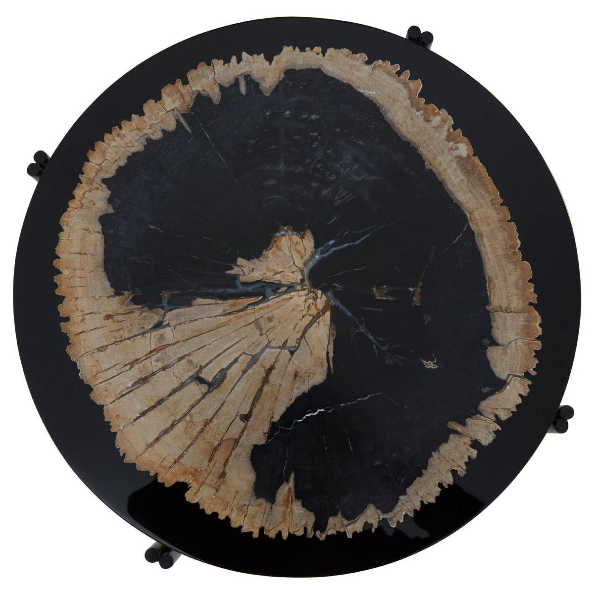 Relic Petrified Wood and Resin Side Table