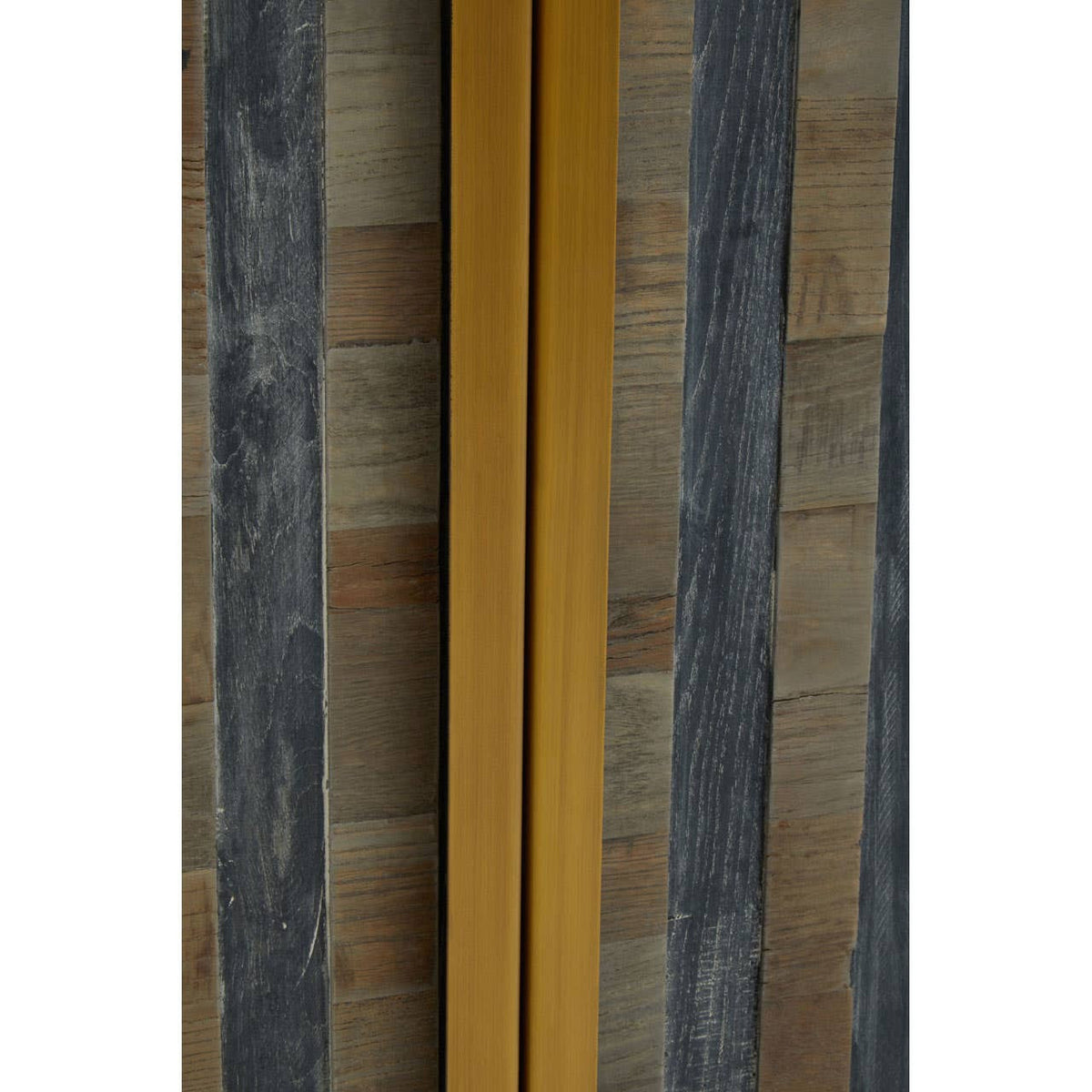 Roselle Recycled Elm Wood Cabinet With Brass Finish Base