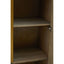 Roselle Recycled Elm Wood Cabinet With Brass Finish Base