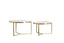 Coffee table S/2 65x39+75x44 cm SERELLE light gld+gls brwn