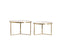 Coffee table S/2 65x39+75x44 cm SERELLE light gld+gls brwn