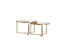 Coffee table S/2 65x39+75x44 cm SERELLE light gld+gls brwn