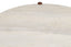 Wilbur Travertine Top and Brown Finish Mango Wood Coffee Table