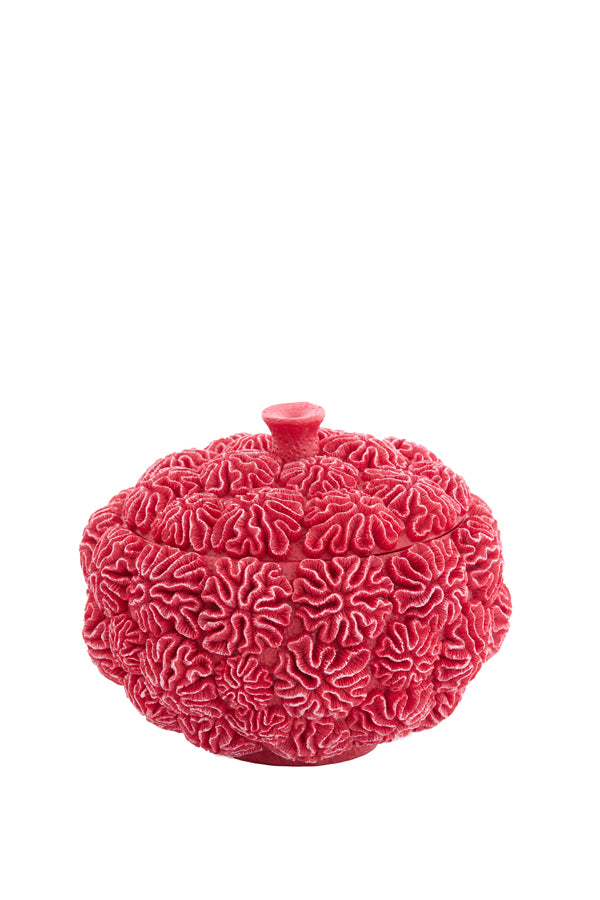 Deco box+lid 20x15,5 cm CORAL red