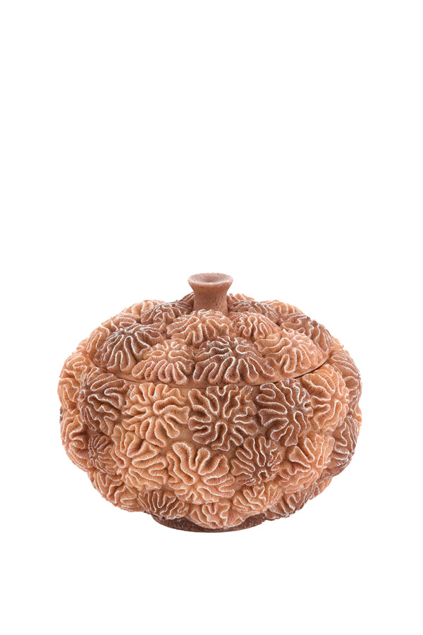 Deco box+lid 20x15,5 cm CORAL peach-light brown