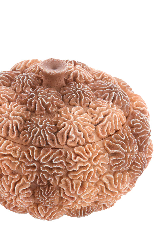 Deco box+lid 20x15,5 cm CORAL peach-light brown