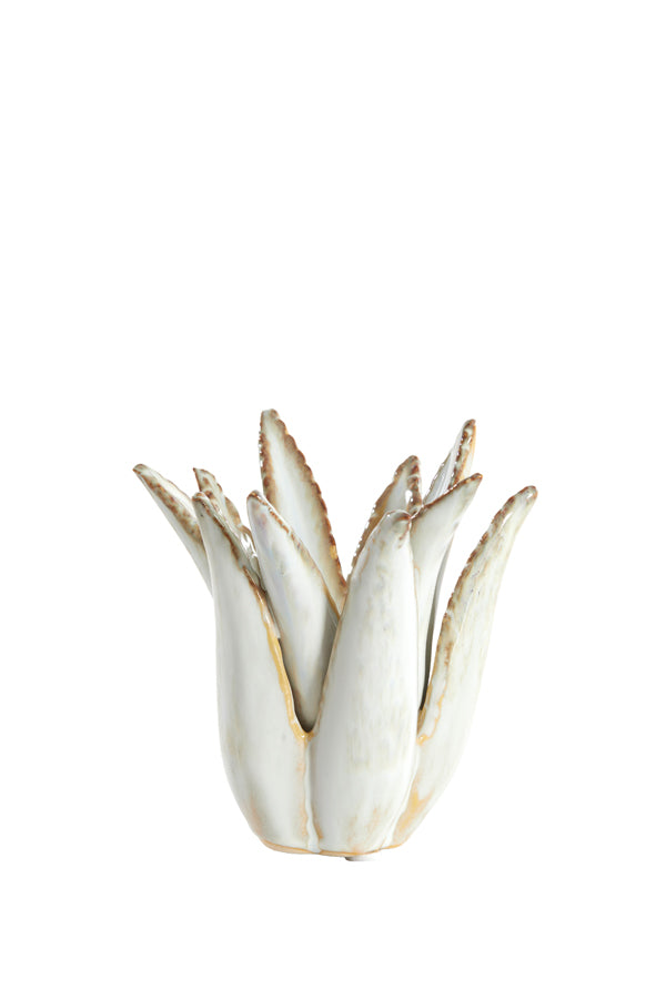 Candle stick 11,5x11,5 cm CACTUS ceramics cream