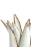 Candle stick 11,5x11,5 cm CACTUS ceramics cream