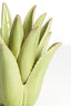 Candle stick 11,5x11,5 cm CACTUS ceramics light green
