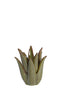 Candle stick 11,5x11,5 cm CACTUS ceramics dark green