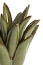 Candle stick 11,5x11,5 cm CACTUS ceramics dark green