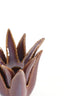 Candle stick 11,5x11,5 cm CACTUS ceramics dark purple