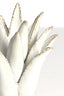 Candle stick 13x16 cm CACTUS ceramics cream