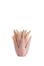 Candle stick 13x16 cm CACTUS ceramics coral