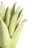 Candle stick 13x16 cm CACTUS ceramics light green