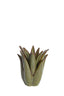 Candle stick 13x16 cm CACTUS ceramics dark green
