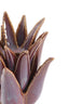 Candle stick 13x16 cm CACTUS ceramics dark purple