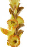 Candle stick 11x10x28,5 cm LAMOS yellow+bronze