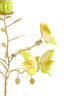Candle stick 35,5x18x37,5 cm BUTTERFLY light green+light gld