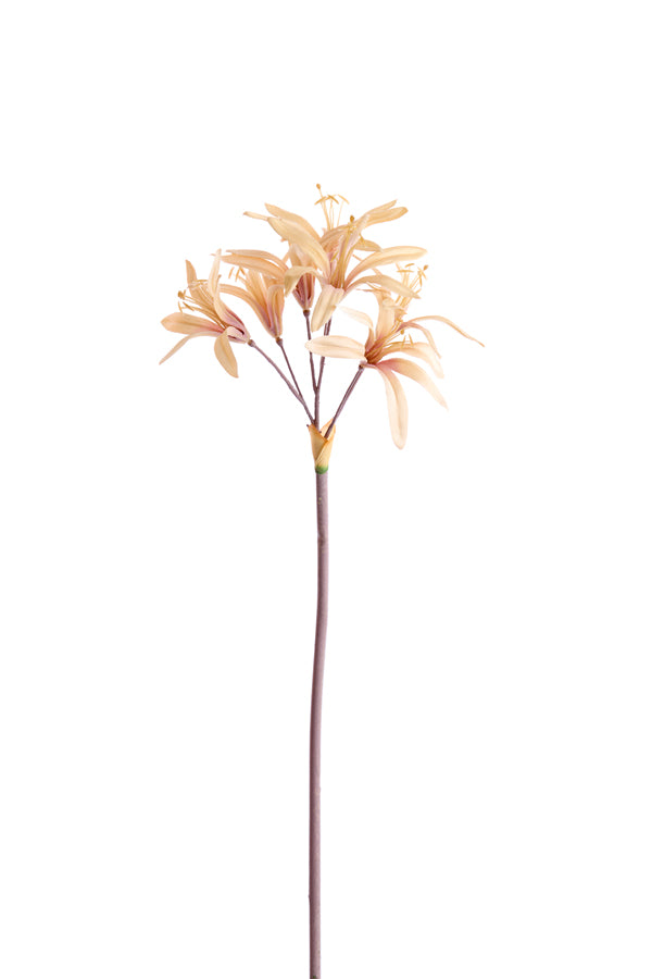 Artificial flower 86x13x13 cm LYCORIS beige