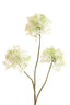 Artificial flower 76x18x18 cm RADIATA cream