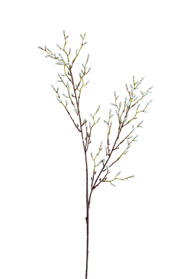 Artificial flower 90x20x5 cm CATKINS cream