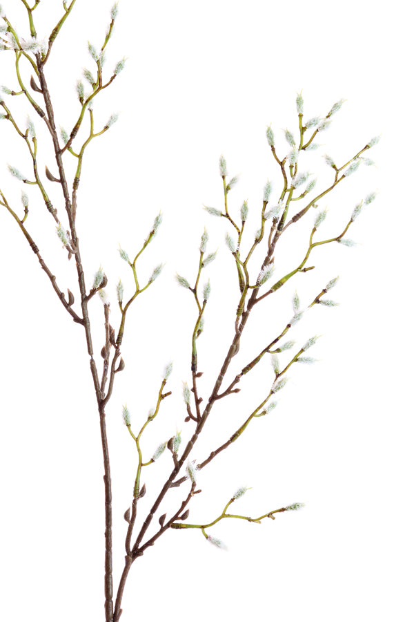 Artificial flower 90x20x5 cm CATKINS cream